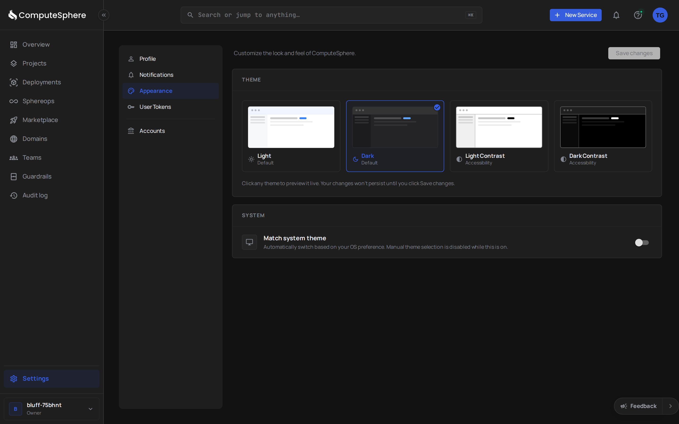 Appearance tab in the ComputeSphere console showing theme options