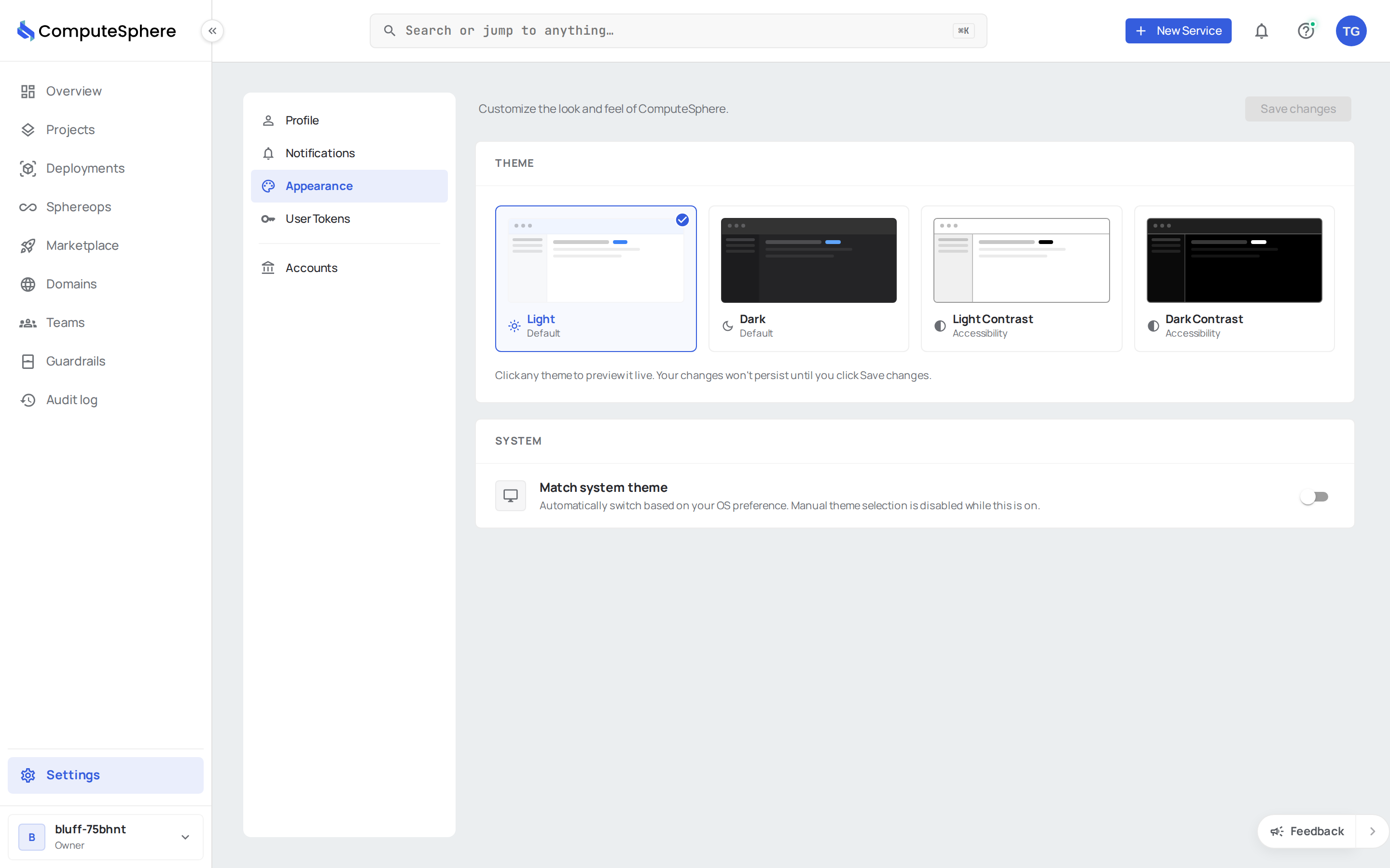 Appearance tab in the ComputeSphere console showing theme options