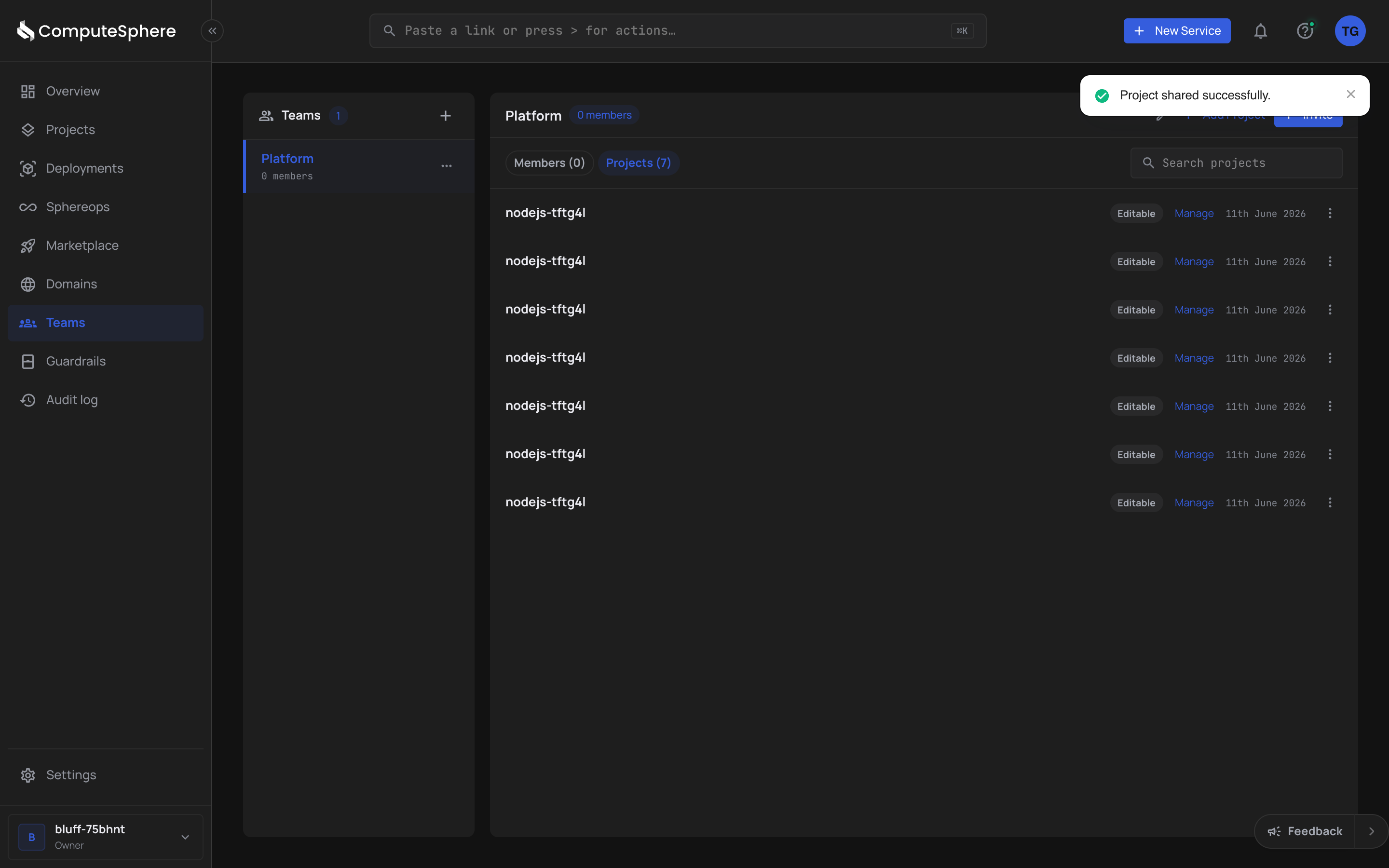 Newly shared project on the team's Projects tab
